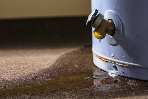 Best Flood damage cleanup  in Mount Vernon, KY