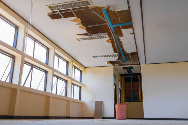 Best Water damage restoration near me  in Mount Vernon, KY