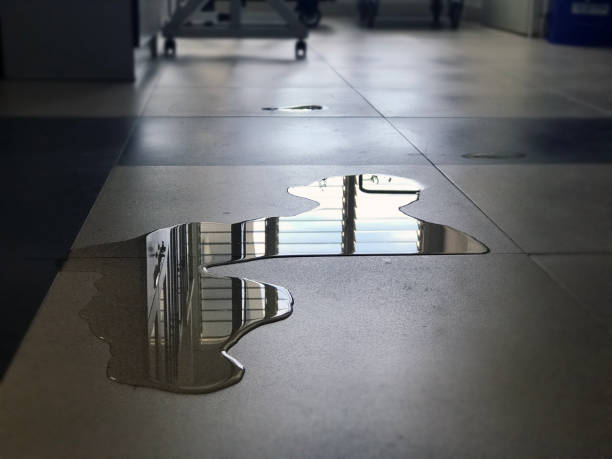 Best Water damage cleanup near me  in Mount Vernon, KY