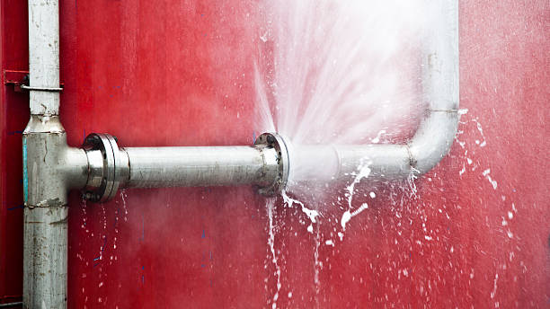 Best Local water damage restoration  in Mount Vernon, KY