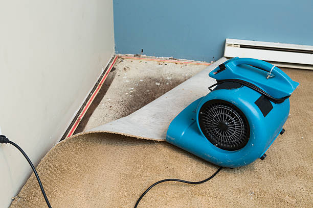Best Commercial water damage restoration  in Mount Vernon, KY